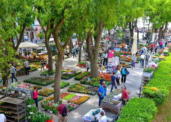 Rubix 아파트 풀라